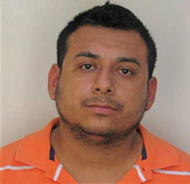 Carvajal Aaron - Hillsborough County, FL 