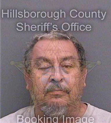 Guitron Rolando - Hillsborough County, FL 