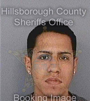 Navarro David - Hillsborough County, FL 