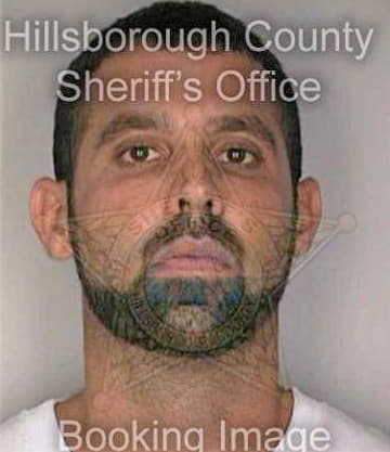 Marrone Steven - Hillsborough County, FL 