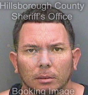 Chavezlarzabal Yosniel - Hillsborough County, FL 