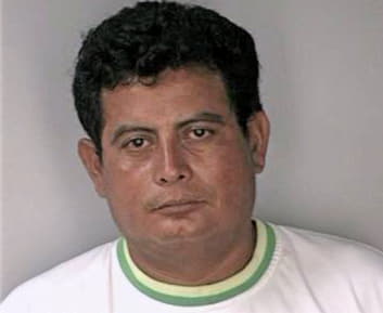 Melgar Salvador - Hillsborough County, FL 