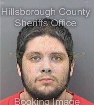 Sampson Nicholas - Hillsborough County, FL 