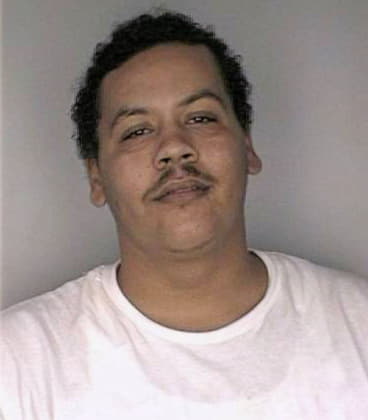 Mcgowen Corey - Hillsborough County, FL 