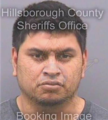 Lopez Francisco - Hillsborough County, FL 