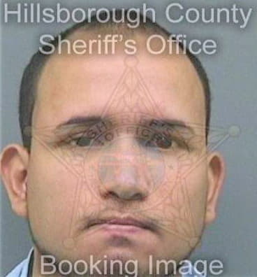 Diazcarranza Marlon - Hillsborough County, FL 