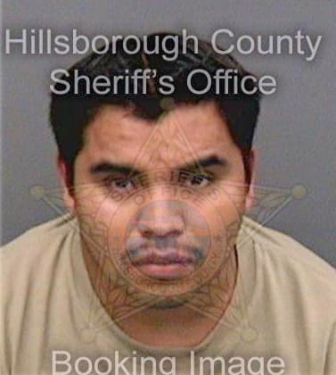 Delacruzdothe Miguel - Hillsborough County, FL 