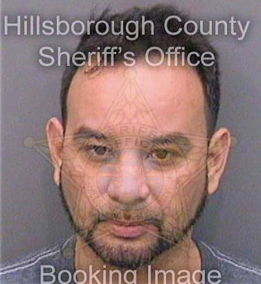 Mendoza Nicholas - Hillsborough County, FL 