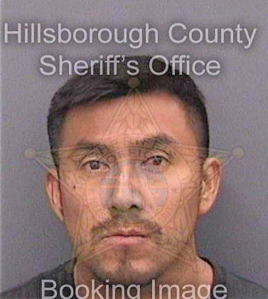 Enriquecortez Oney - Hillsborough County, FL 