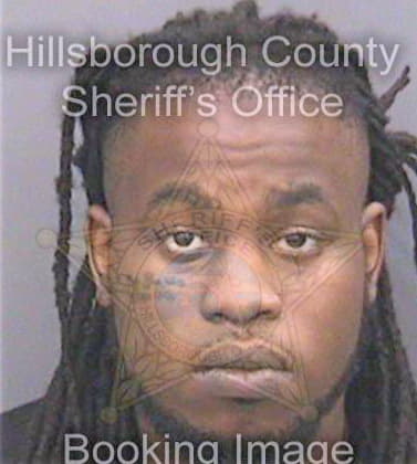 Mcneal Deandre - Hillsborough County, FL 