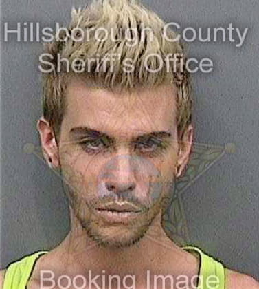 Mascio Andrew - Hillsborough County, FL 