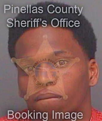 Bell Telvin - Pinellas County, FL 