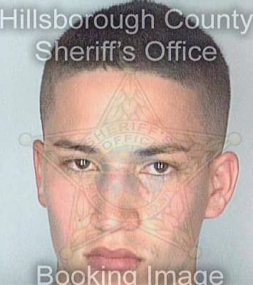 Lopez Haldo - Hillsborough County, FL 