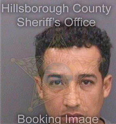 Velasquezgonzalez Diego - Hillsborough County, FL 