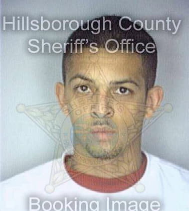 Gonzalez Waldemar - Hillsborough County, FL 