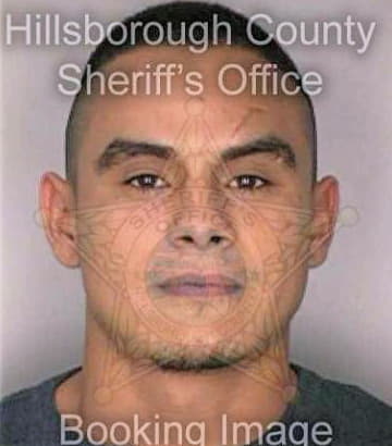 Trevino Estevali - Hillsborough County, FL 