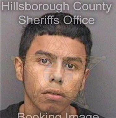 Leon Albert - Hillsborough County, FL 