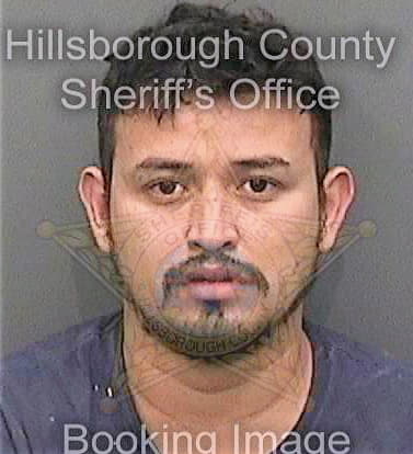 Reyesgutierrez Delfino - Hillsborough County, FL 