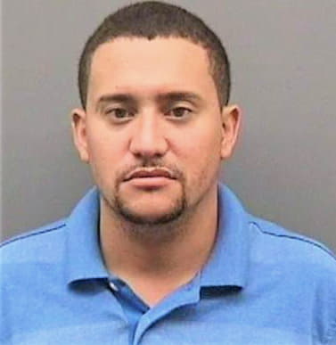 Medina Luis - Hillsborough County, FL 