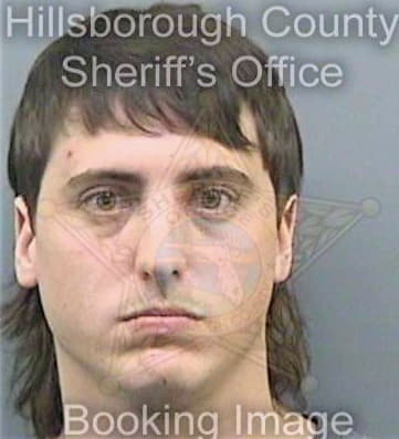 Ferguson Aaron - Hillsborough County, FL 