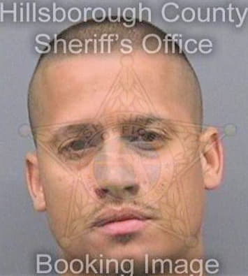 Torres Wilfredo - Hillsborough County, FL 