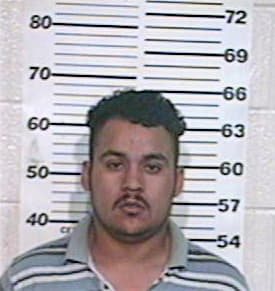 Hernandez Pedro - Hidalgo County, TX 