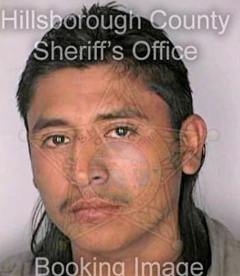 Solis Lenin - Hillsborough County, FL 