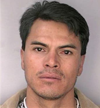 Medrano Ivan - Hillsborough County, FL 