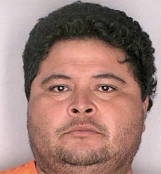 Mejiadiaz Wilmer - Hillsborough County, FL 