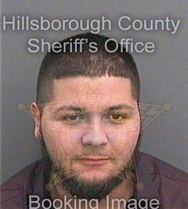 Dominguez Homero - Hillsborough County, FL 