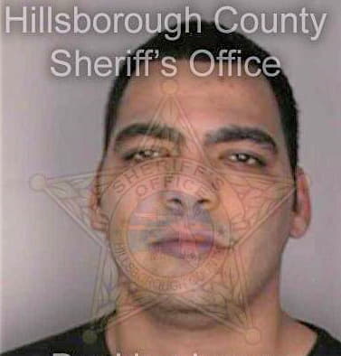 Odeh Baha - Hillsborough County, FL 