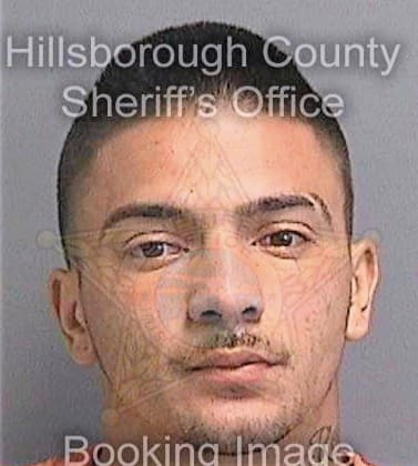 Beharry Kumar - Hillsborough County, FL 