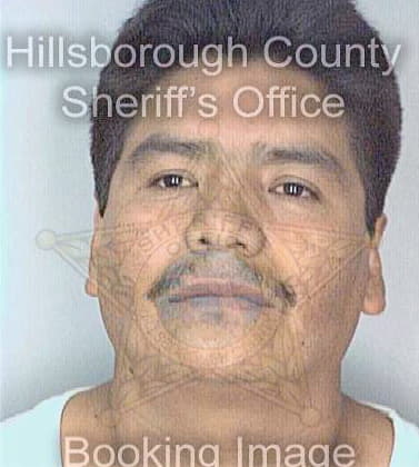 Hernandez Luis - Hillsborough County, FL 