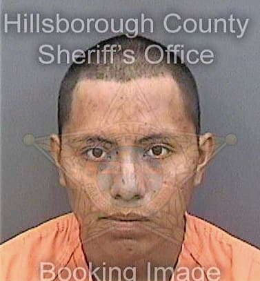 Navajoyeno Sergio - Hillsborough County, FL 