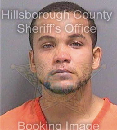 Jerezramirez Francis - Hillsborough County, FL 