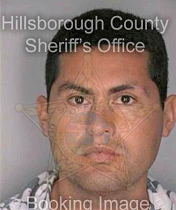 Medina Idxon - Hillsborough County, FL 