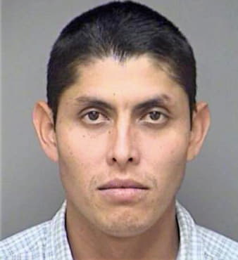 Gonzalez Mauricio - Denton County, TX 