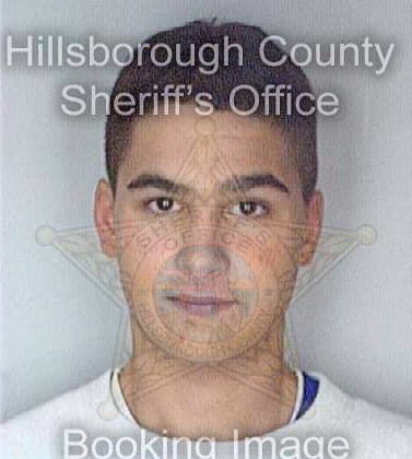 Ballinger William - Hillsborough County, FL 