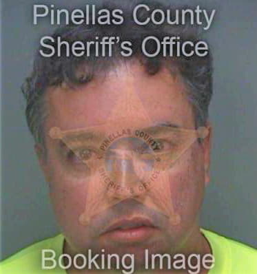 Rodrigues Gerardo - Pinellas County, FL 