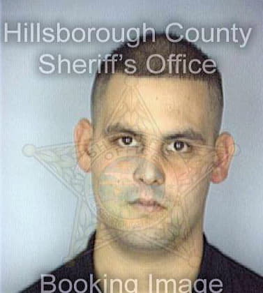 Defilippis Christopher - Hillsborough County, FL 