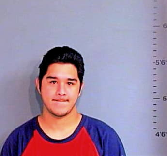 Gonzalez Vincent - Brazos County, TX 