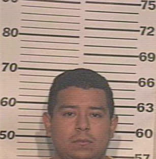 Meza Ramon - Hidalgo County, TX 