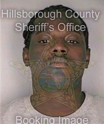 Smith Tyron - Hillsborough County, FL 