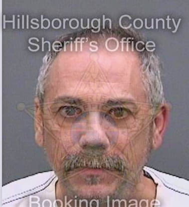 Desandro David - Hillsborough County, FL 