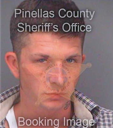 Demoranville James - Pinellas County, FL 