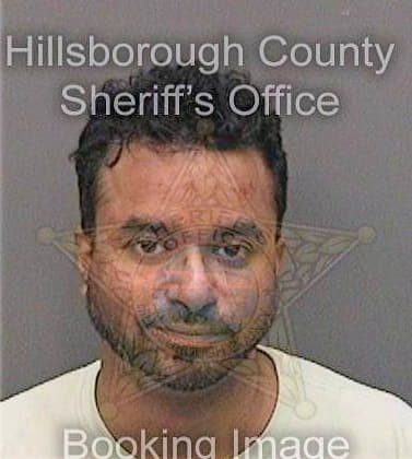 Mathew Kurien - Hillsborough County, FL 