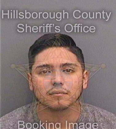 Barrigasanchez Luis - Hillsborough County, FL 