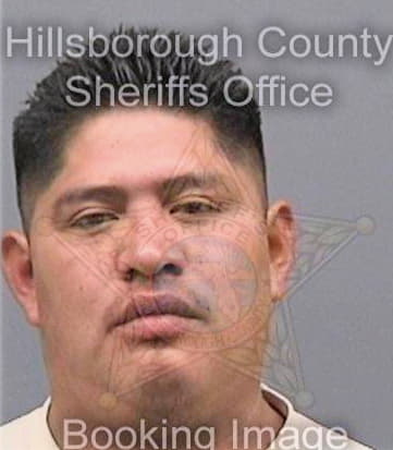 Gonzalez Pedro - Hillsborough County, FL 