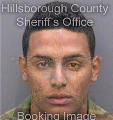 Gonzalez Salvador - Hillsborough County, FL 