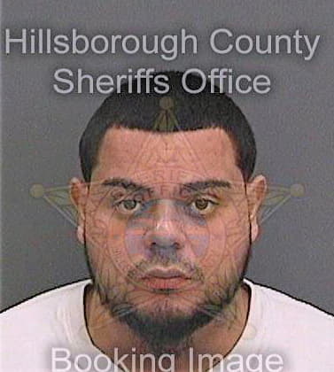 Ventura Hector - Hillsborough County, FL 